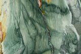 Freestanding Gary Green Jasper (Larsonite) Bog Wood - Oregon #377938-1